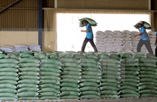 Rice exports increase sharply in January