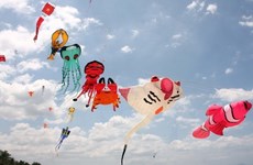 Ninh Thuan to hold international kiteboard event