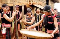 New rice celebration – unique to Jrai people in Central Highlands