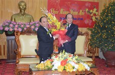 Deputy PM visits Ha Nam province at lunar year’s beginning