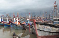 Ca Mau fishermen equipped with communication devices