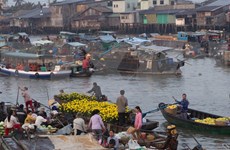 Can Tho preserves Cai Rang Floating Market