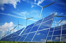 Renewable energy development needs more support policy 