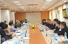 Vietnamese, Indian businesses look to boost bilateral investment