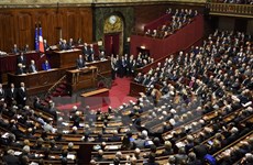 French Chamber of Deputies ratifies Vietnam-EU agreement 