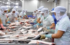 Sale of microbe-free tra fish permitted in Panama