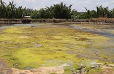 MRC: drought, saline encroachment continue in Mekong Delta