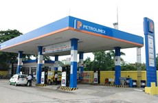 Petrolimex to sell 8 percent stake to Japan firm