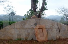 Ancient musical stone found in Tuyen Quang