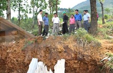 Hail storms kill one, injure two in Ha Giang