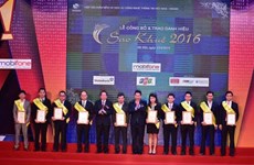 Sao Khue IT winners named
