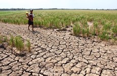 Cambodia launches water distribution campaign to drought –hit people