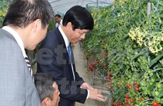Wakayama prefecture seeks stronger ties with Vietnam