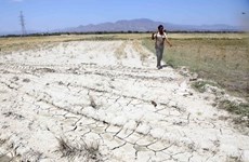 Solutions to drought in central provinces sought