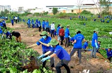 Nationwide activities to respond to World Environment Day