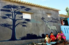 Project to fill Tam Ky with wall art