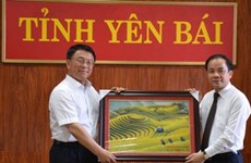 Chinese ethnic affairs official visits Yen Bai 