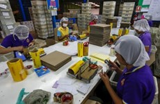 Malaysia loses 6 billion USD from foreign worker freeze