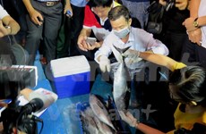 Misfortunate fishermen in Phu Yen receive support