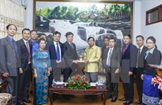 Laos’ Salavane province leader welcomes Vietnamese youths 