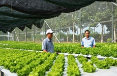 Binh Phuoc high-tech farming centre opens