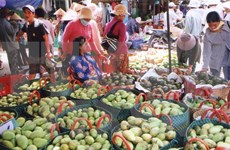 Vietnam exports mangoes to Australia