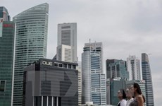 Singapore arrests 44 involved in illegal employment