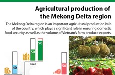 Mekong Delta agricultural production ensures domestic food security