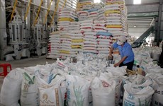 Vietnam’s rice exports dwindle 18.4 percent in seven months