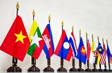 Vietnam contributes to ASEAN’s development: Diplomat 