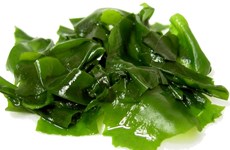 Vietnam to encourage seaweed farming 