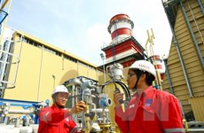 Nhon Trach 2 power plant meets electricity targets 