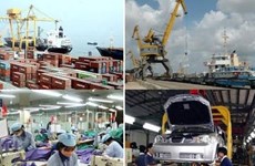 Vietnam, Cuba look for stronger investment cooperation 