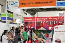 Vietnamese firms introduce green construction products in Singapore
