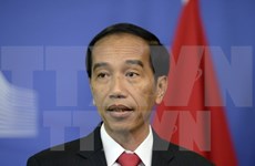 Indonesia hails ASEAN-Japan relations