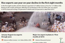 Rice exports see sharp drop in eight months