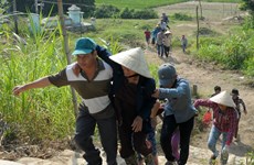 Quang Ngai holds tsunami response drill 