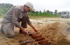Quang Tri: 21 projectiles removed from civilian’s garden