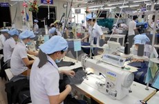 RoK textile firm starts operation in Ben Tre 