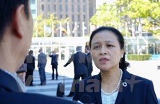 Vietnam calls on UN to heed respect for international law 