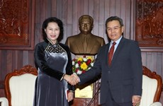 NA backs cooperation between Vietnamese, Lao fronts