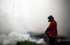 Thailand investigates four Zika-linked microcephaly cases 