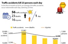 Traffic accidents claim 23 lives each day