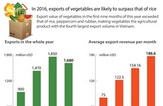 Vegetable exports may surpass that of rice