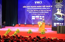 Call for Vietnamese firms to reach global standards