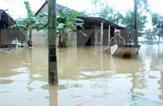 Floods leave 15 dead, 9 missing in central provinces