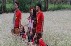 Impressive buckwheat flower festival in Ha Giang