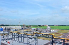 Ham Rong-Thai Binh gas system reaches yearly target early 