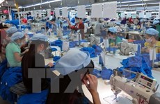 5,000 tariff lines cut to 0% under Vietnam-EAEU deal