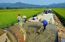 Vinh Phuc to invest over 1.27 trillion VND in developing rural roads